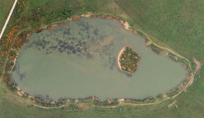 So good :) - bilcombes20carp20fishing20fawley.jpg